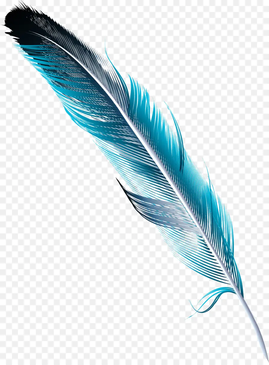 Pluma，Vistoso PNG