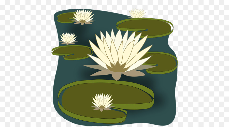 Nymphaea Alba，Egipcio De Lotus PNG