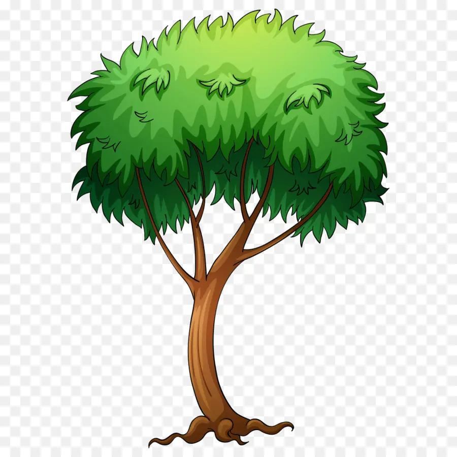 árbol，Royaltyfree PNG