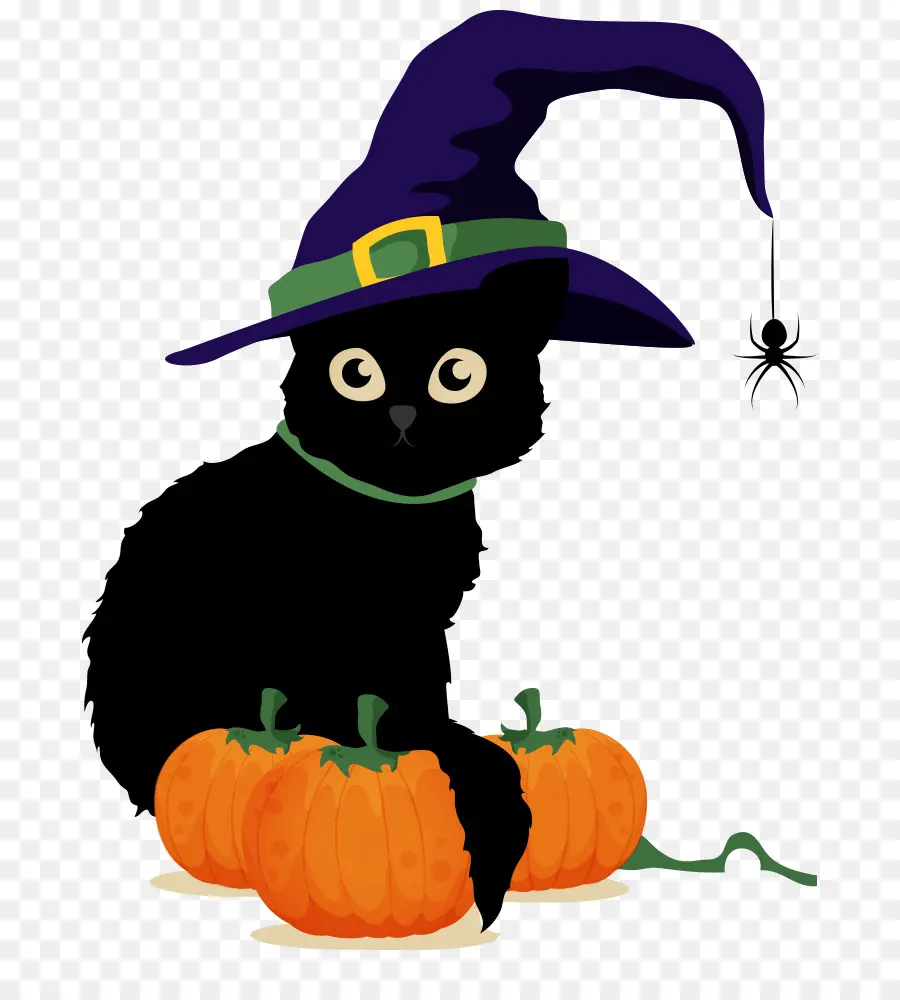 Gato Negro，Sombrero De Bruja PNG