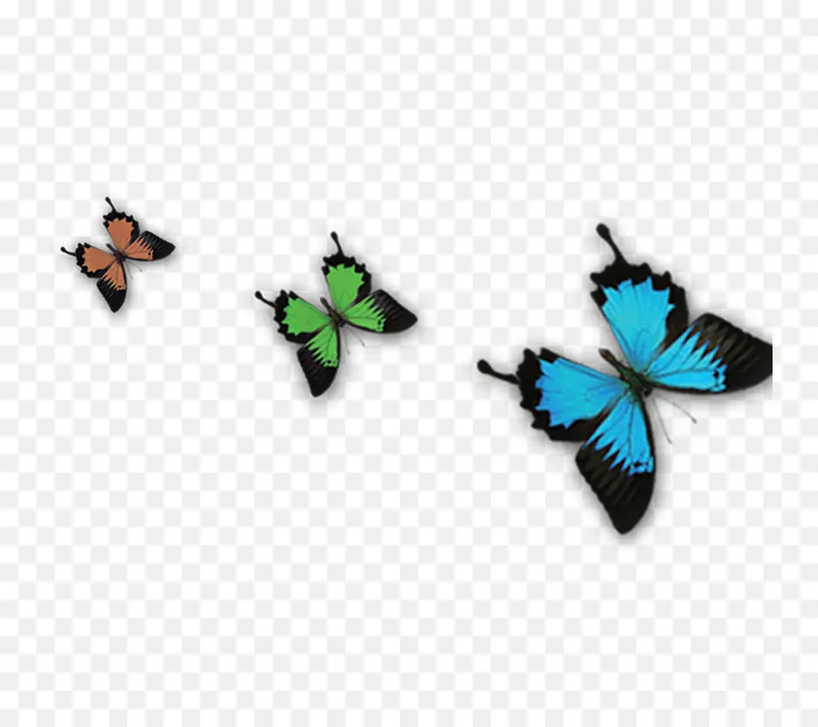 Mariposas，Vistoso PNG