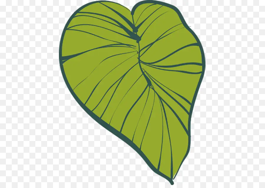 Hoja Verde，Planta PNG