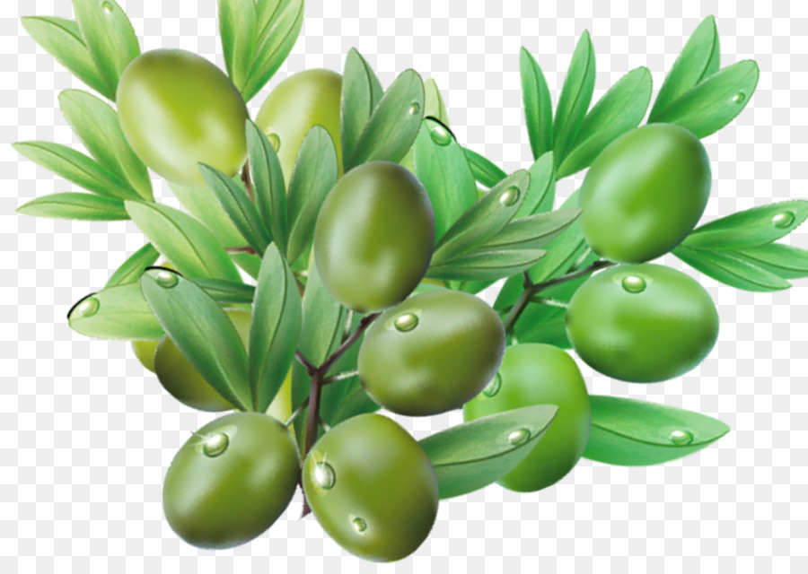 Jujube，Crujiente PNG