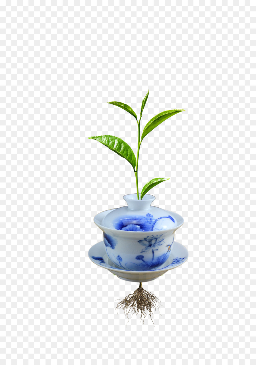 Taza，Taza Para Té PNG