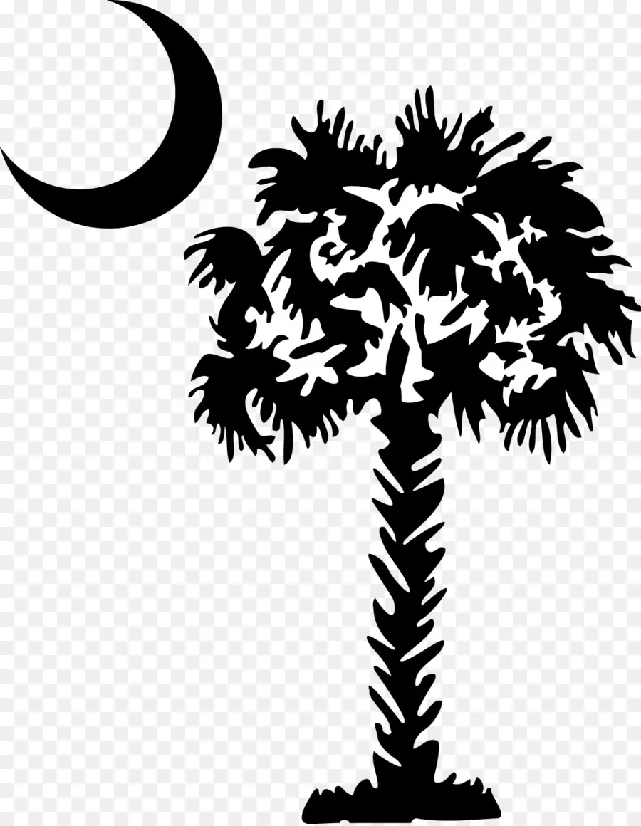 Palmetto，Sabal Palm PNG