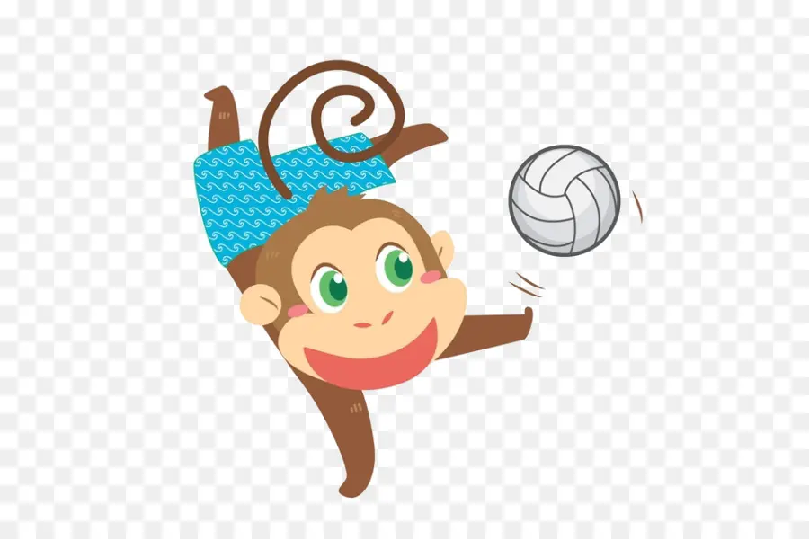 Voleibol De Playa，Voleibol PNG