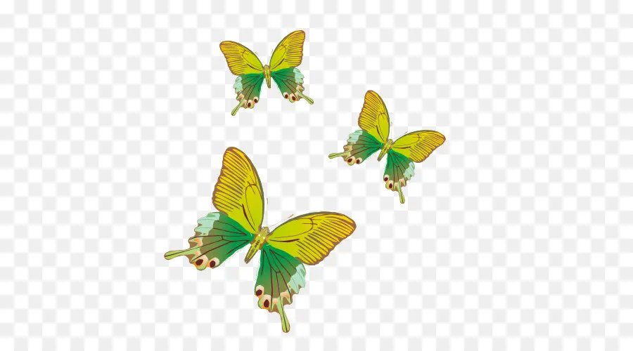 Mariposas，Amarillo PNG