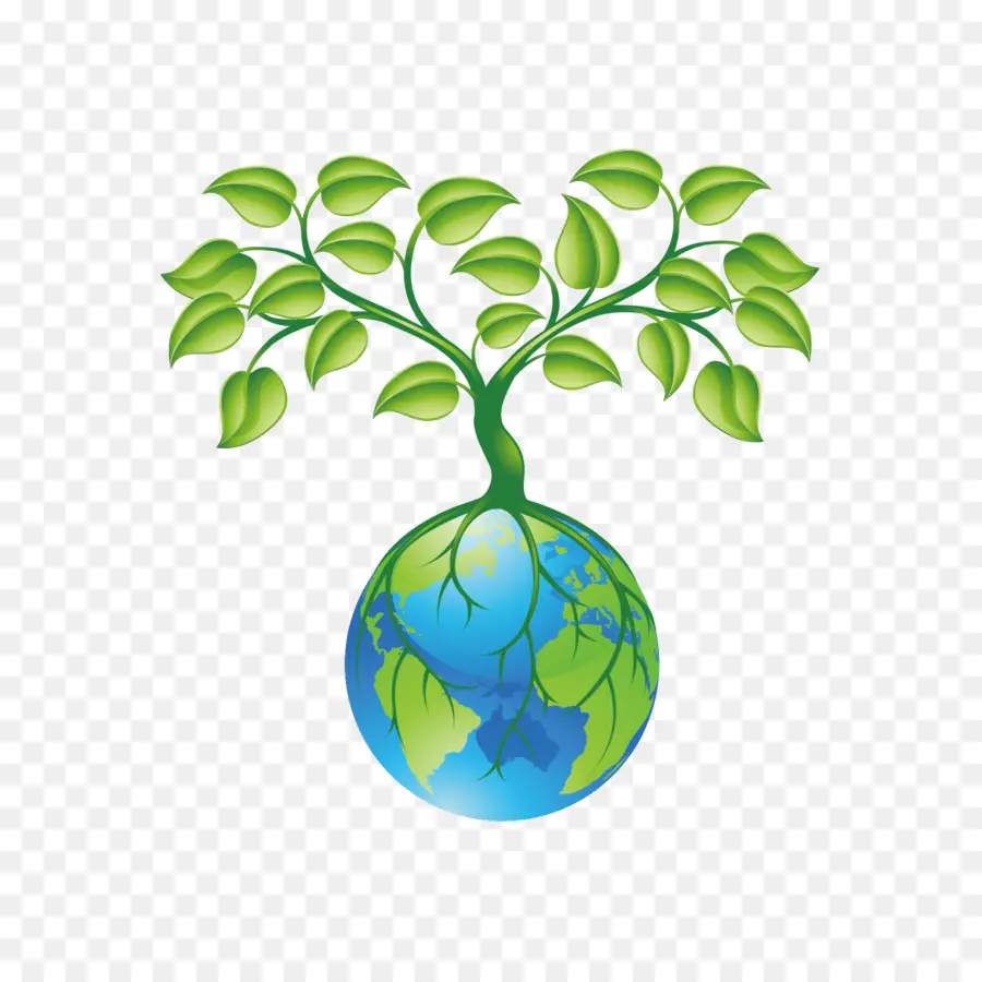 Raíz，Planta PNG