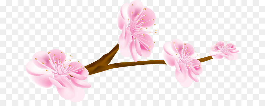 Flor，Florecer PNG