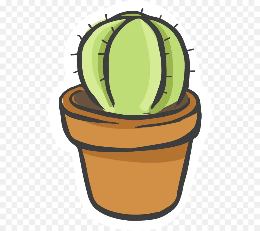 Cactaceae，Diseñador PNG