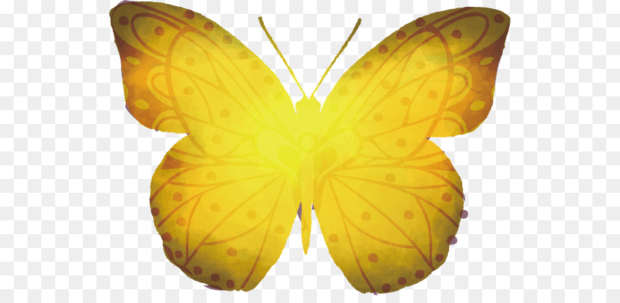 La Mariposa Monarca，Mariposa PNG