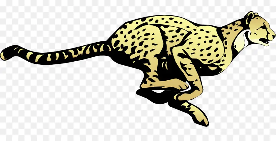 Cheetah，Leopard PNG