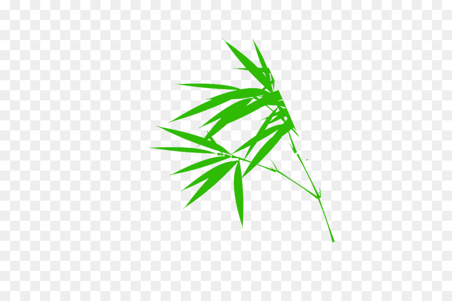 Hojas Verdes，Planta PNG