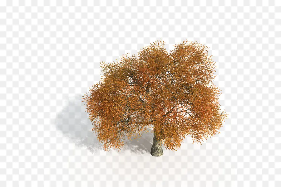 Juego De árbol，árbol PNG