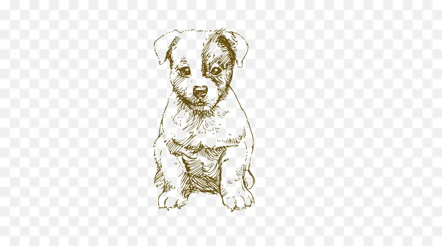 Dibujo De Cachorro，Bosquejo PNG