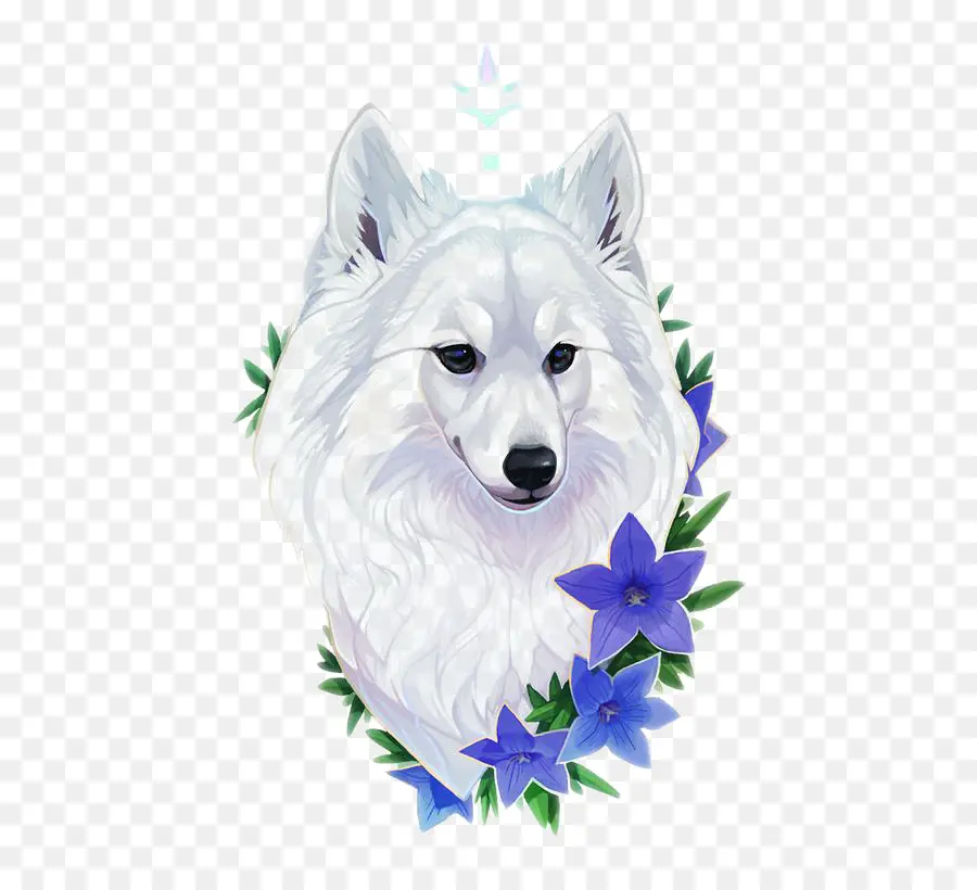 Perro Blanco，Lobo PNG