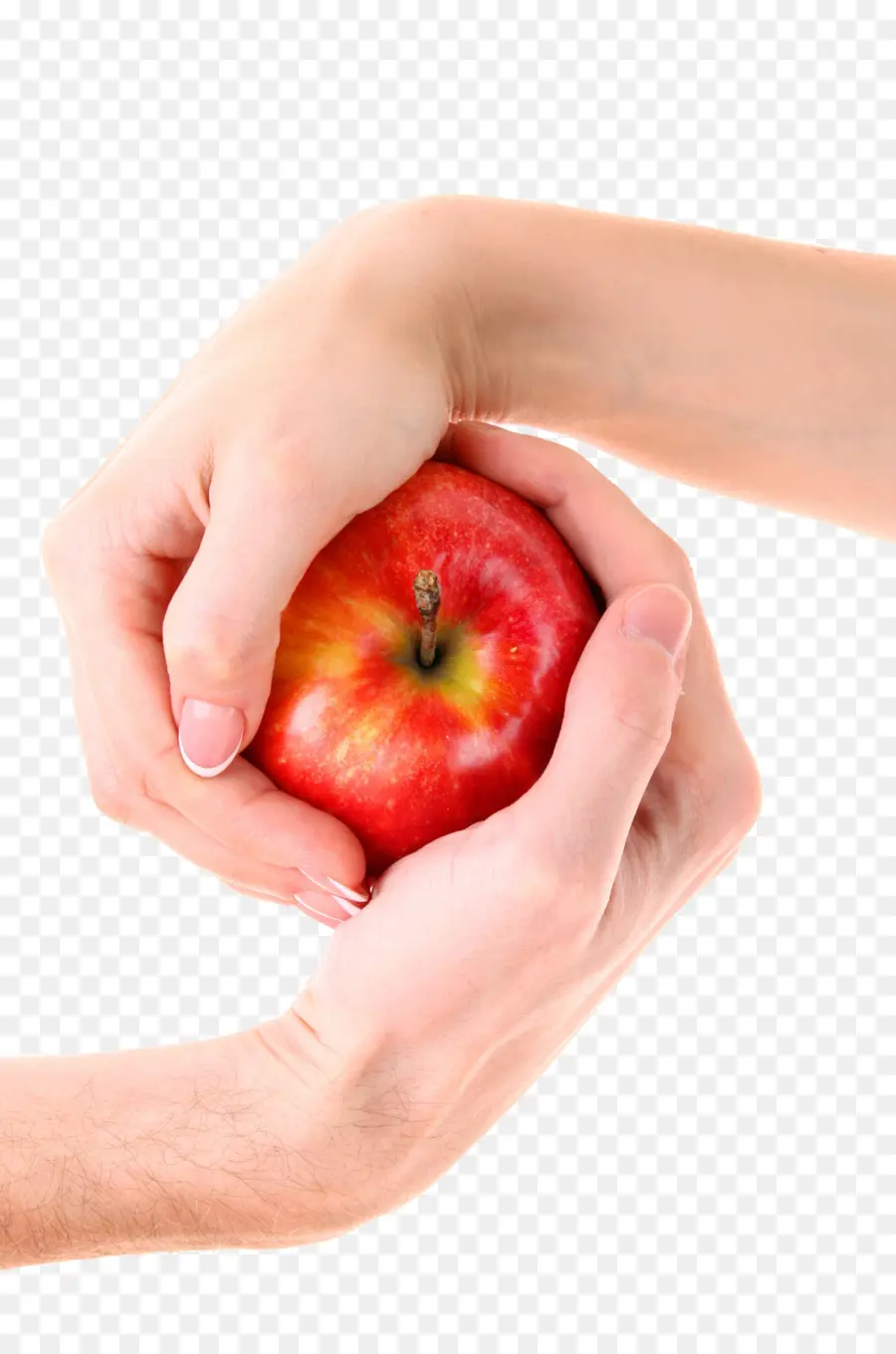 Manos Sosteniendo Manzana，Manzana PNG