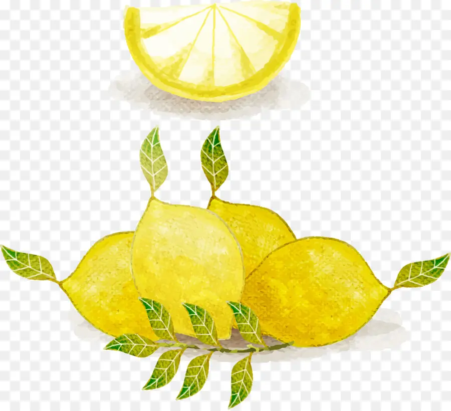 Limonada，Limón PNG