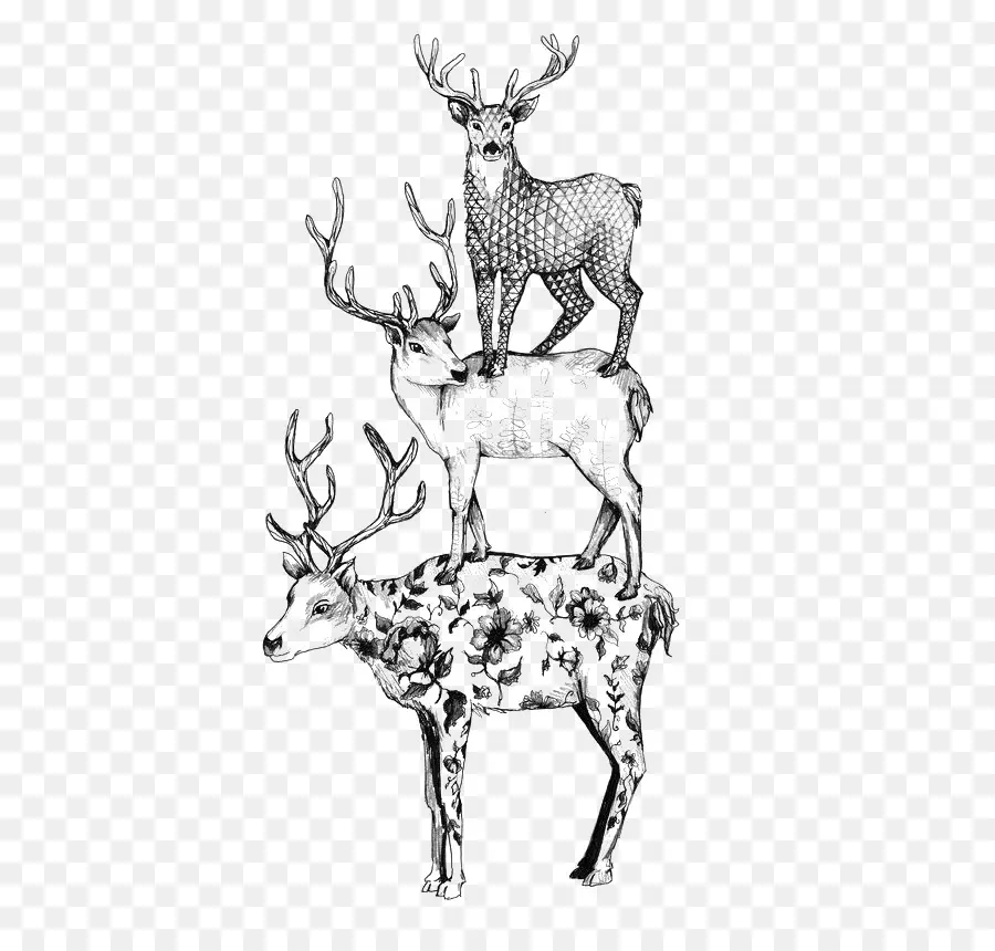 Deer，Black And White PNG