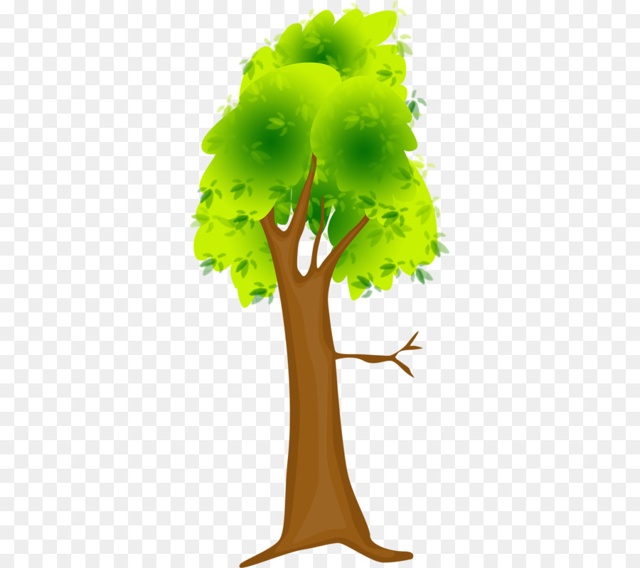 árbol Alto，Planta PNG