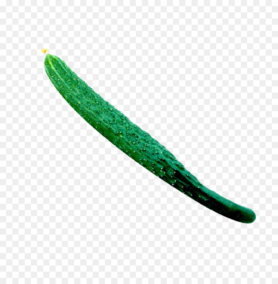 Verdura，Pepino PNG