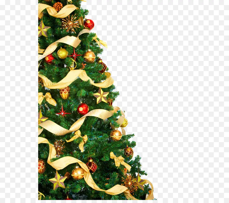 árbol De Navidad，Luces De Navidad PNG