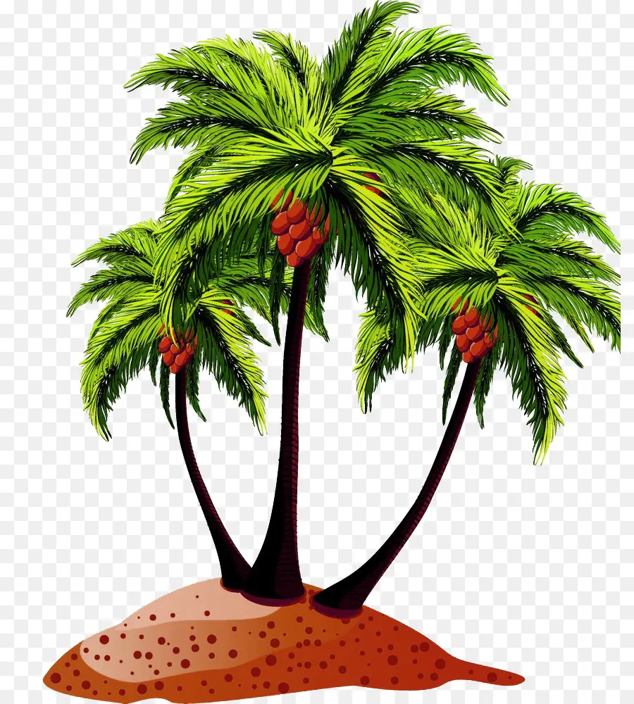 Coco，Arecaceae PNG