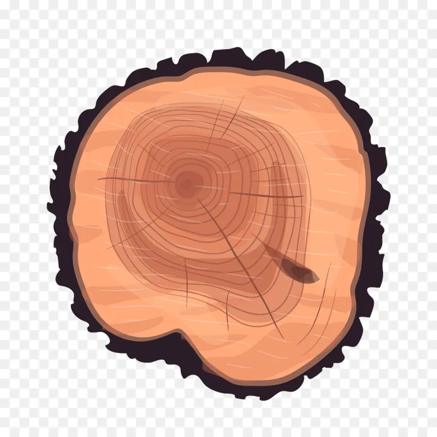 árbol，Tronco PNG