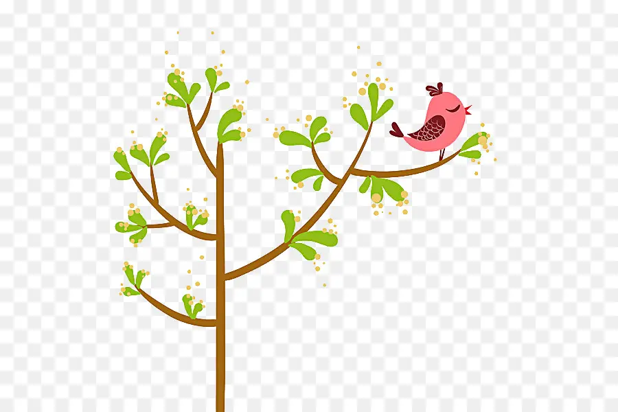 Pájaro，árbol PNG