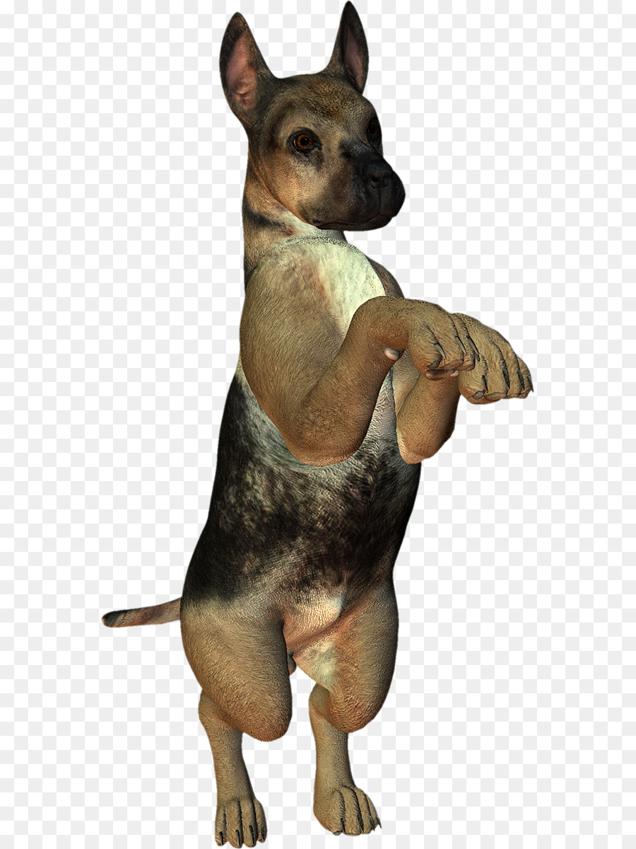 Perro，Mascota PNG