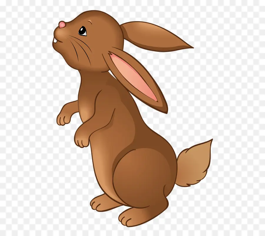 Conejito De Pascua，Leporids PNG