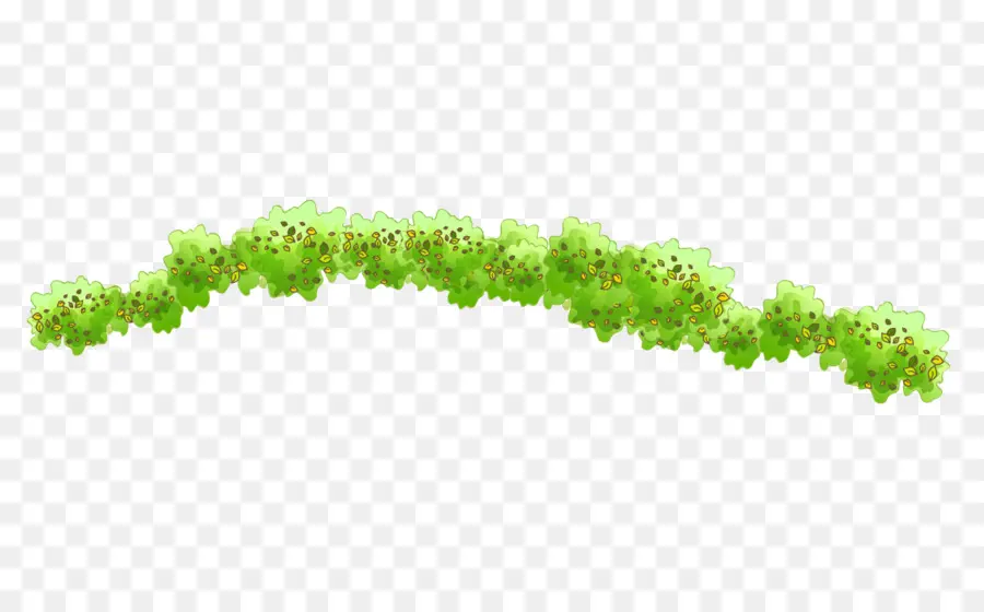 Verde，Vid PNG