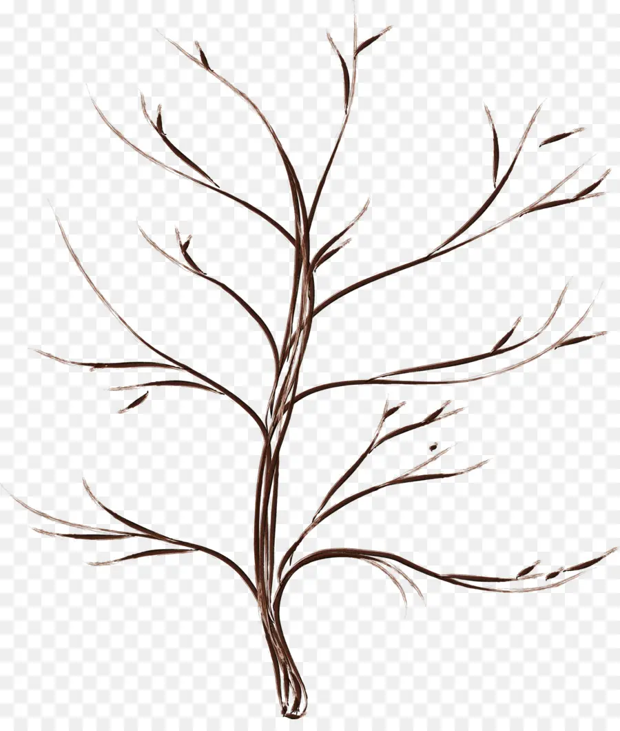 árbol Desnudo，Desnudo PNG