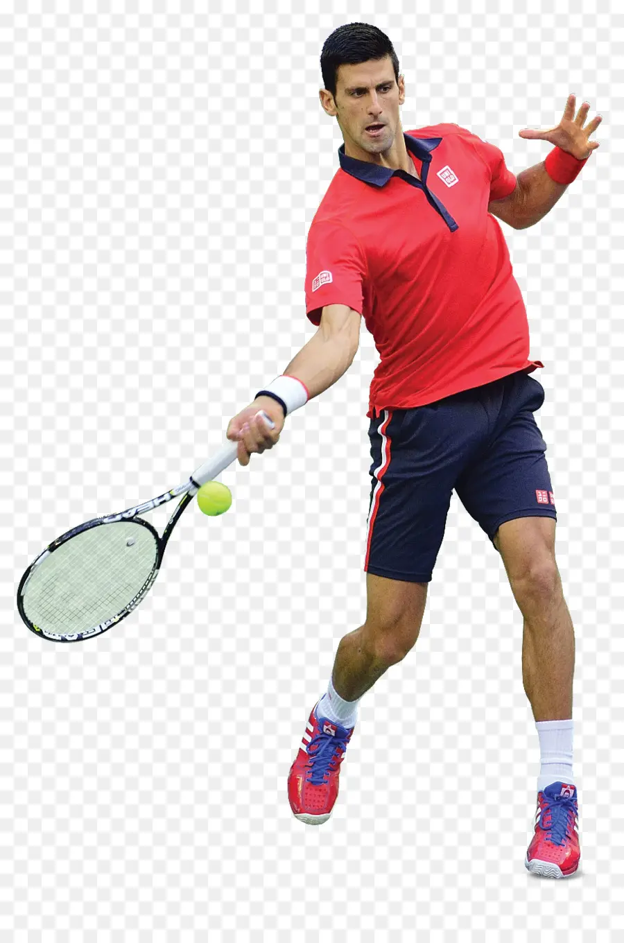 2014 Del Abierto De Australia U2013 Mens Singles，2016 Novak Djokovic Temporada De Tenis PNG