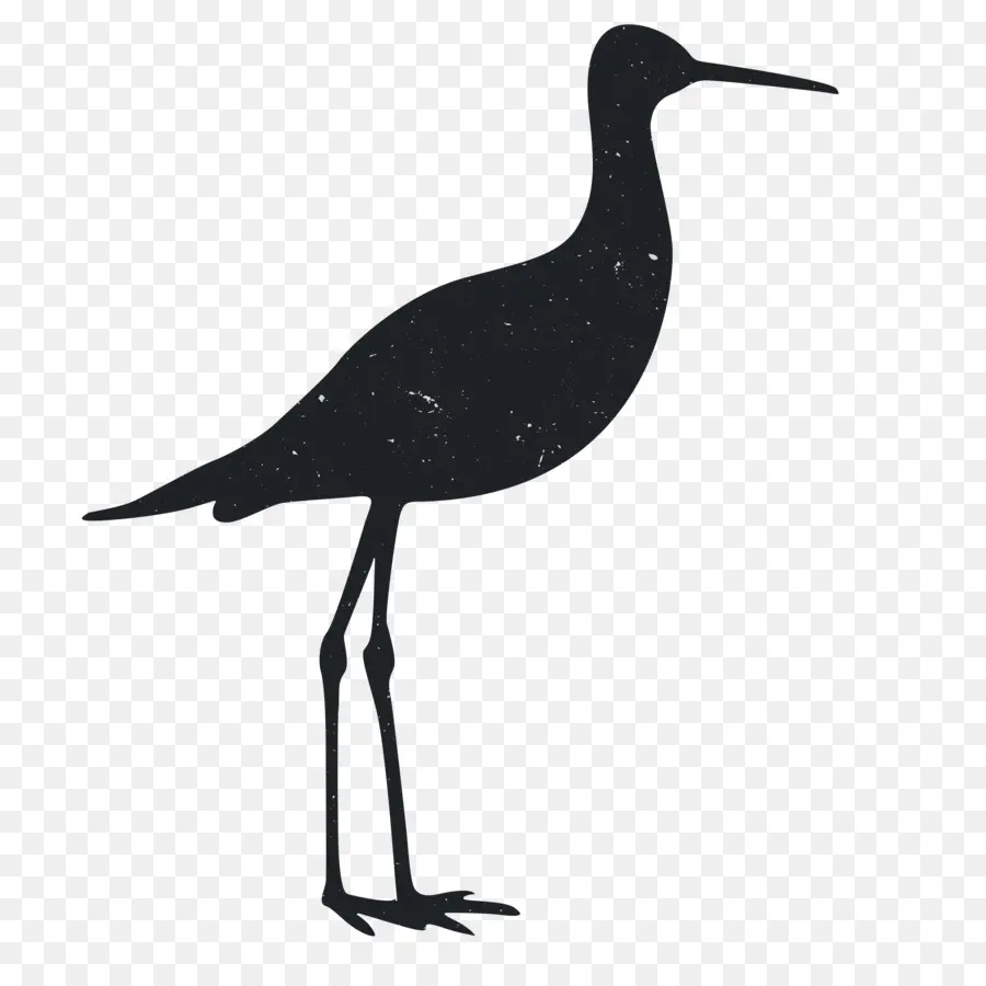 Pájaro，Piernas Largas PNG