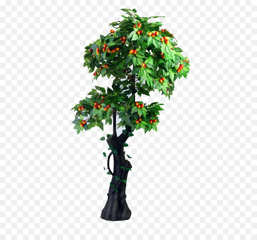 Cherry，árbol PNG