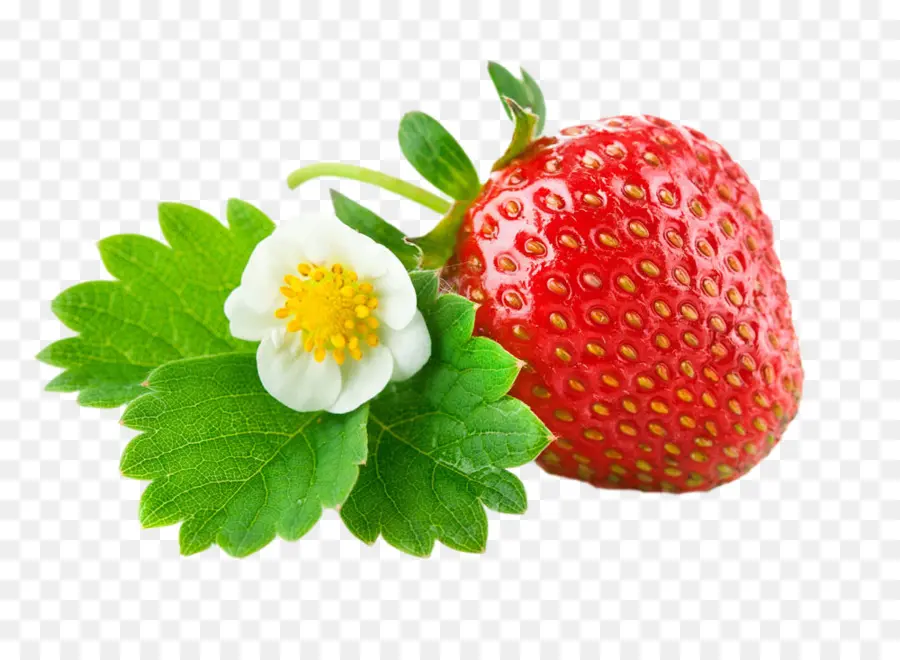 Planta De Fresa，Fruta PNG