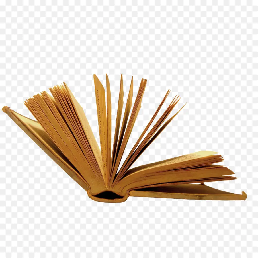 Libro，Paginas PNG