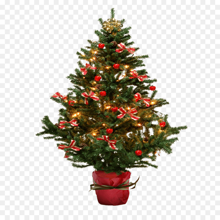 árbol De Navidad，Fir PNG