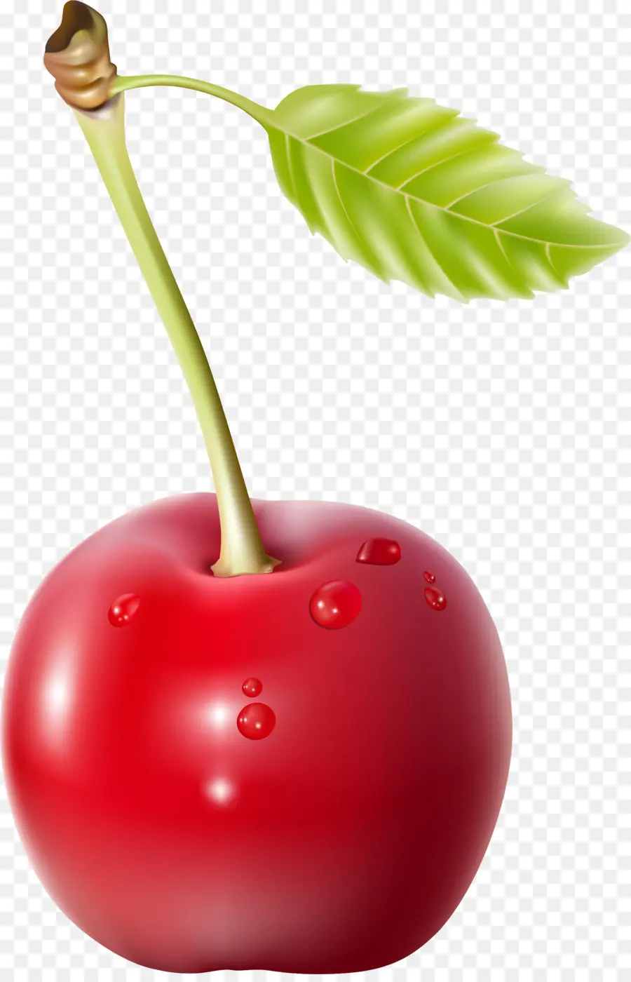 Cereza，Rojo PNG