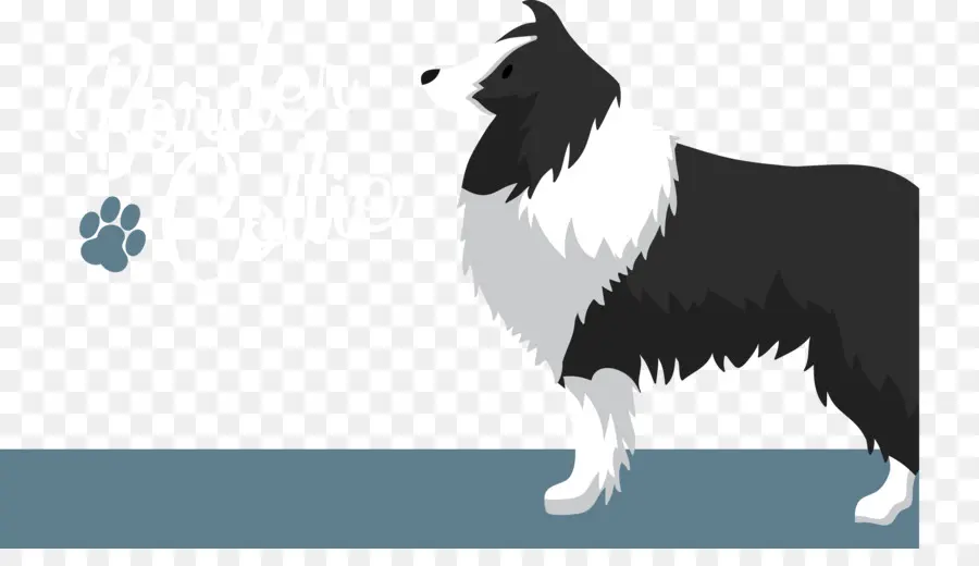 Perro Blanco Y Negro，Mascota PNG