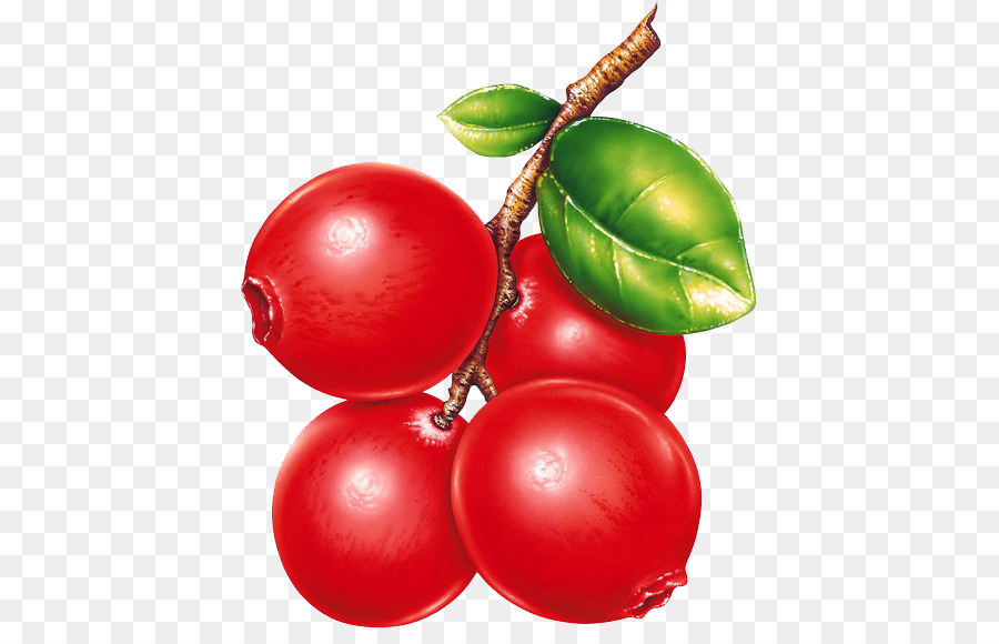 Sonido，Conservas De Fruta PNG