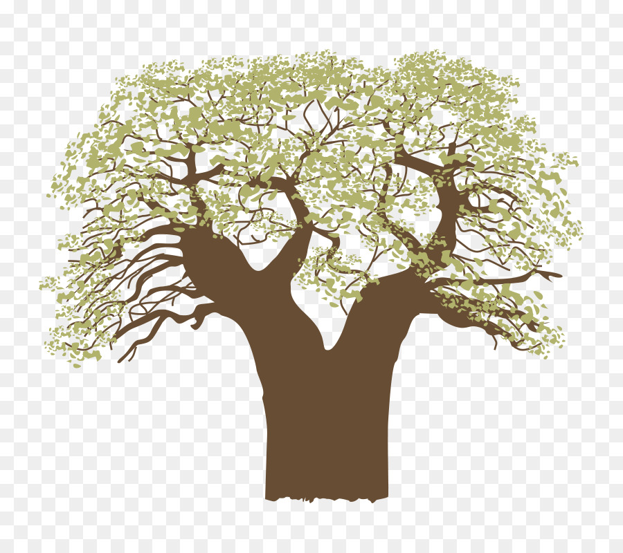 Dibujo De Arbol，Bosquejo PNG