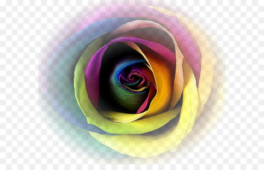 Rosa Arcoiris，Vistoso PNG