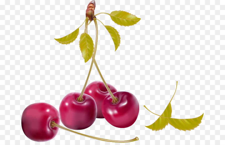 Berry，Cherry PNG