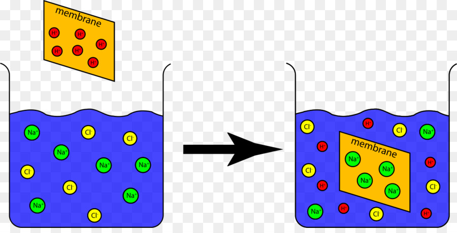 Experimento，La Química PNG