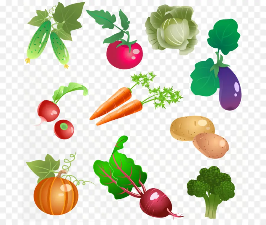 Vegetal，Postscript Encapsulado PNG