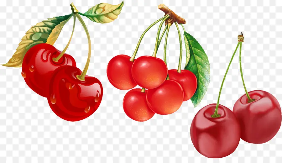 Cherry，De Los Cerezos En Flor PNG