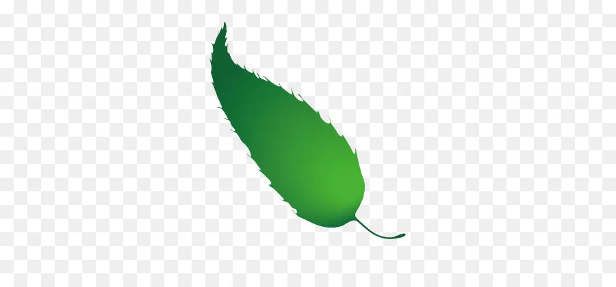 Hoja，Verde PNG