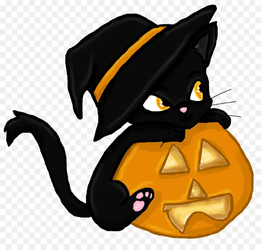 Gato，Gatito PNG